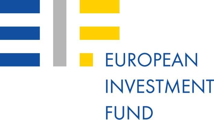 Premessa Il Fondo europeo per gli investimenti (FEI) istituito nel 1994 per sostenere le piccole e medie imprese, ha come azionista di maggioranza è la Banca europea per gli investimenti, con la