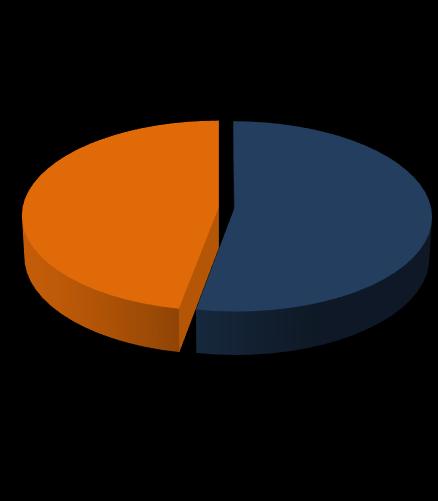 385 milioni 50% 50% Addetti totali 19.