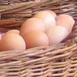 Uova 2,00 /confez Confezioni da 3 uova, di galline allevate a terra, di