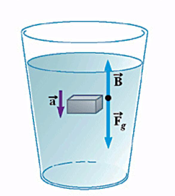 Il peso apparente Se si misurasse il peso ( inteso come forza-peso) di un corpo in acqua con una bilancia esso risulterebbe sicuramente minore del peso misurato fuori dall acqua.