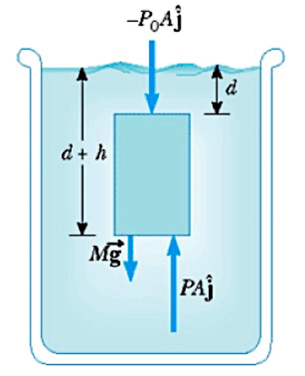 Fluidostatica (equilibrio dei fluidi)-stevino() Come varia la pressione all interno di un fluido a riposo?