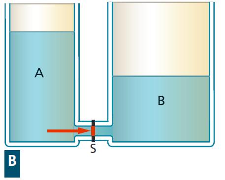 Esempio -Vasi comunicanti Si chiamano vasi comunicanti due o più recipienti uniti da un tubo di comunicazione.