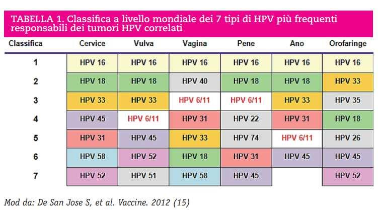 HPV a basso rischio: HPV 6 e HPV 11 causano circa 90% dei condilomi(lacey 2006).