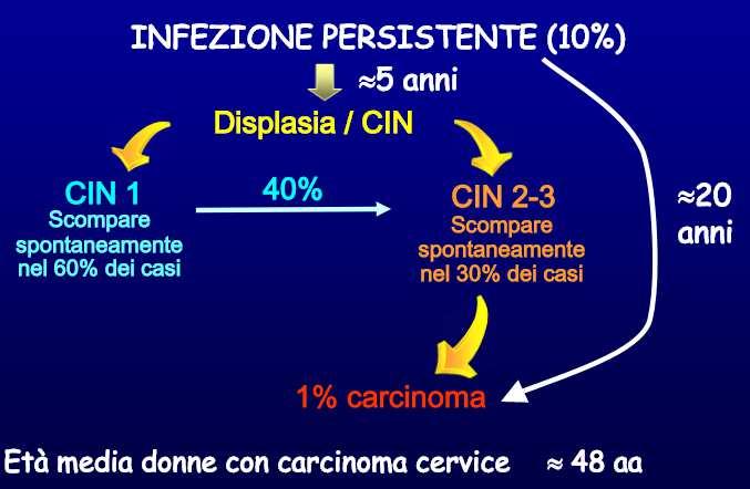 Infezione HPV e carcinoma della cervice Non tutte le infezioni da HPV producono lesioni che poi possono evolvere in cancro probabilità di progressione verso il cancro aumenta con la durata