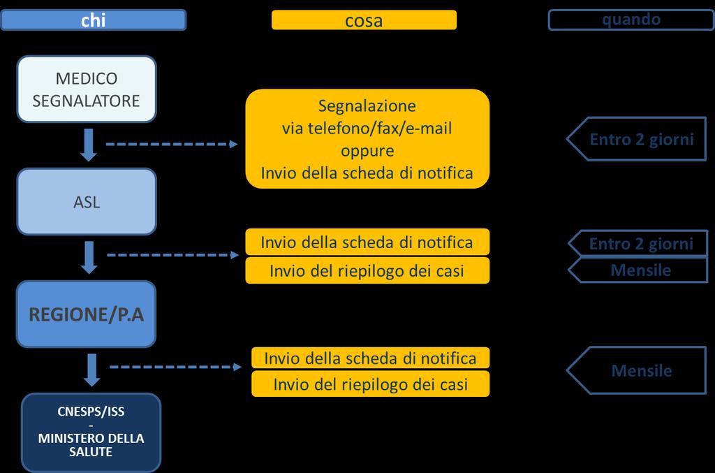 Rapporto Semestrale N.