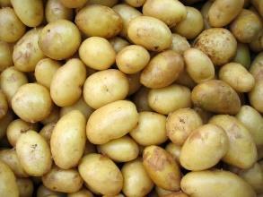 desidera ottenere. In questo contesto il fornitore è consultato al fine di individuare le varietà di patate più adatte.