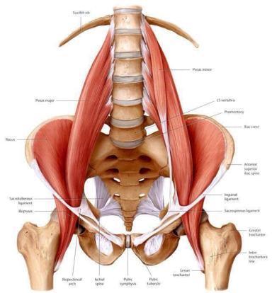 Nel DO: - effettuiamo le 3 normalizzazioni ad intervalli di 3/4 giorni ciascuna; - effettuiamo gli esercizi in palestra a giorni alterni che prevedono esercizi posturali globali, stretching