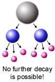 I decadimenti Le particelle piu` pesanti (sia elementari che composte) decadono in particelle piu` leggere µ W ν µ I decadimenti