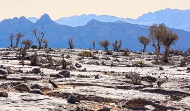 Si continua per Jabel Shams per vedere il Grand Canyon dell'oman, uno scenario spettacolare! Rientro a Nizwa.