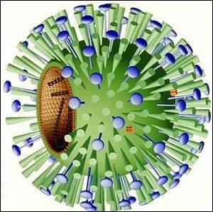 virus HIV