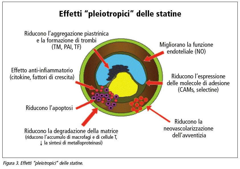 PLEIOTROPISMO DELLE STATINE Liao, JK.