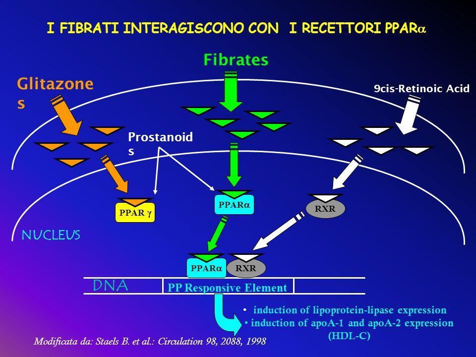 FIBRATI