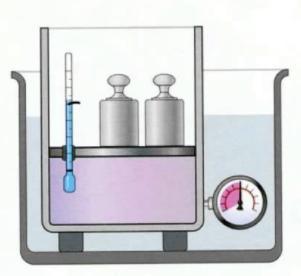 Leggi dei Gas Nel caso dei gas la dilatazione diende non solo dalle variazioni di temeratura ma anche dalle variazioni di ressione.