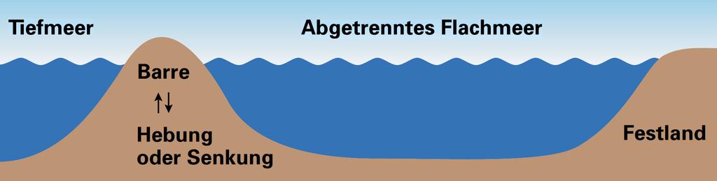 03a / Il sale La formazione del sale Le barre, dune di sabbia o lingue di terra emerse dal mare, separano le baie dal mare aperto,