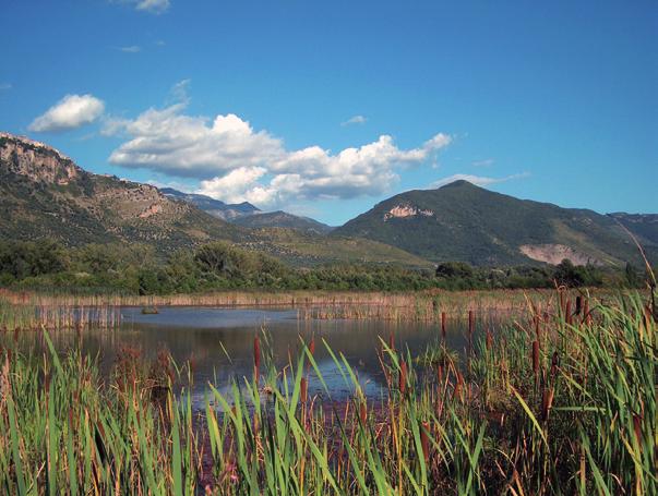 IDENTIFICAZIONE DI SPECIE RARE E UNICHE: lavorando insieme, si è in grado di monitorare habitat e luoghi di elevato interesse naturalistico; in alcuni casi fortunati potrebbero