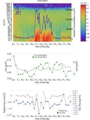 Evento di nucleazione Caratterizzazione fisica del particolato e delle sue distribuzioni dimensionali attraverso misure in modalità size-segregated.