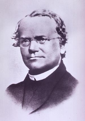 EREDITA MENDELIANA Gregor Mendel (fonte: U.S.