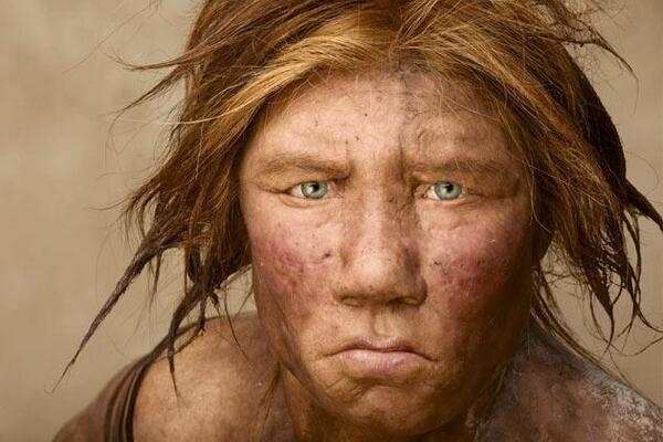 Scoperto il primo ibrido Neandertal-Sapiens?