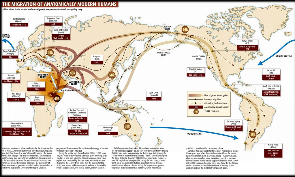 Human population