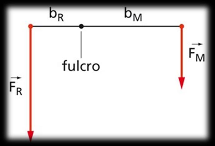 Leva di I genere In una Leva di I genere il fulcro