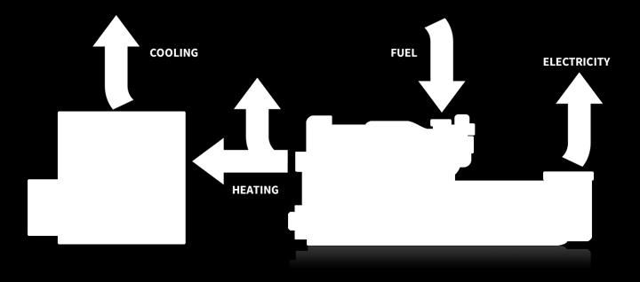 La trigenerazione (CCHP Combined cooling, heat and power) è la produzione contemporanea di energia elettrica, termica/frigorifera.