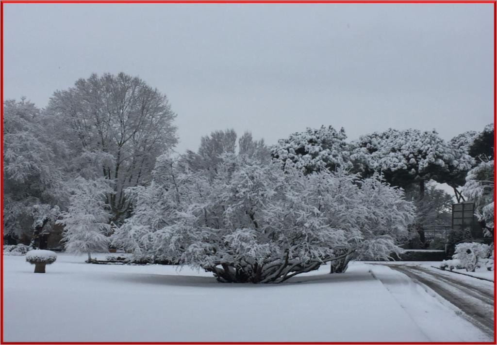 Nevicate, germogli che sbocciano, fiori, foglie, ombre che variano la loro lunghezza: un giardino offre infinite possibilità di dimostrare i cambiamenti delle stagioni, del tempo atmosferico