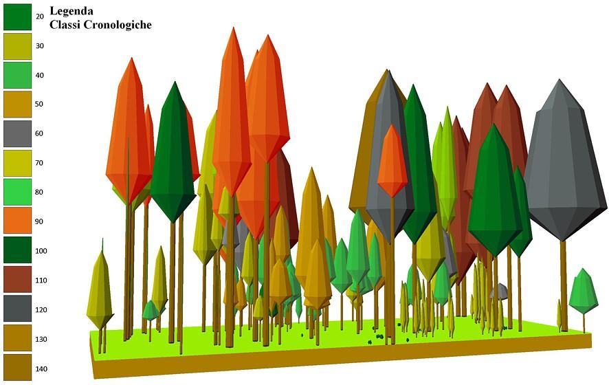 sono diverse aree (dette anche "lotti"), nelle quali gli alberi hanno