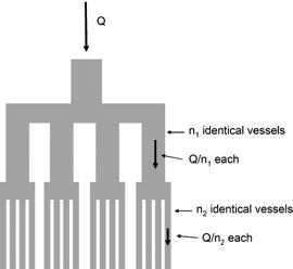 Aorta:!n=1,!L=10cm,!r=1.25cm!#! p=0.025mmhg! Arterie!(larghe):!n=200,!L=75cm,!r=0.2cm!#! p=1.4mmhg! Arterie!piccole!