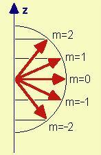 NUMERO QUANTICO MAGNETICO Il numero quantico magnetico m (emme) è relativo alla quantizzazione "spaziale" del momento angolare, che può assumere, cioè, solo certe orientazioni rispetto ad una