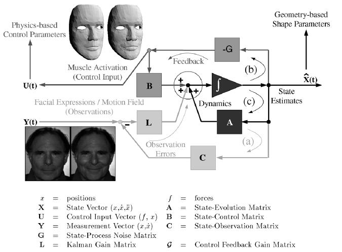 Emotion by dynamical simulation Essa & Pentland (1997): We describe a computer vision system for observing facial motion by using an optimal estimation optical flow method coupled with geometric,