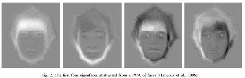 Expression vs identity //A.J. Calder et al.