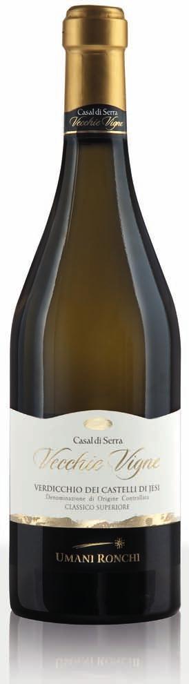 Castelli di Jesi VECCHIE VIGNE VERDICCHIO DEI CASTELLI DI JESI DOC CLASSICO SUPERIORE VINO BIANCO VITIGNO: Verdicchio 100% PRIMA ANNATA: 2001 AREA DI PRODUZIONE: Marche, Castelli di Jesi VENDEMMIA: