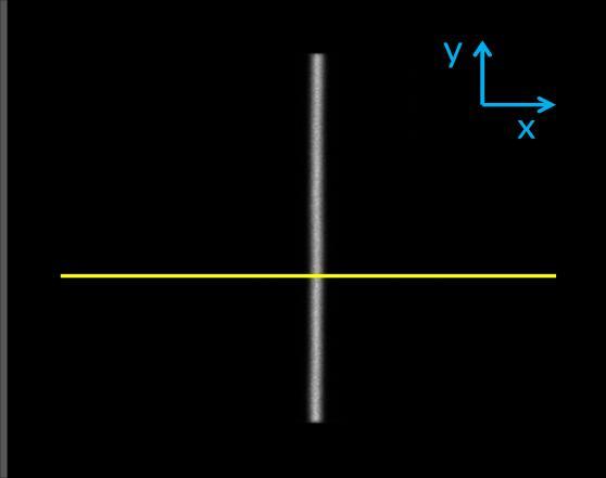 lungo la direzione y parallela al capillare. In figura è schematizzato il processo di estrazione di un profilo dalla scintigrafia della sorgente lineare. 3-2.