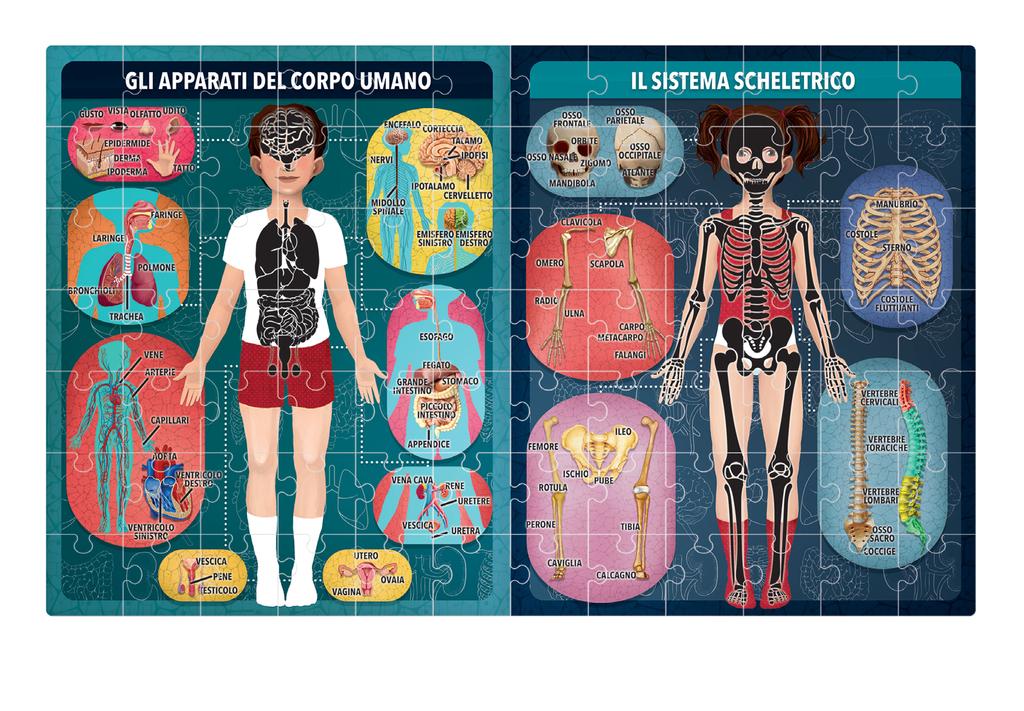 La torcia magica Se puntiamo la torcia magica sui due grandi disegni è possibile scoprire anche quello che non si vede a occhio nudo: - nell immagine di sinistra saranno visibili sia i nomi degli