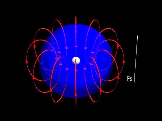 il campo magnetico applicato causa un movimento degli elettroni nella nube elettronica, che produce un campo magnetico indotto che scherma il nucleo.