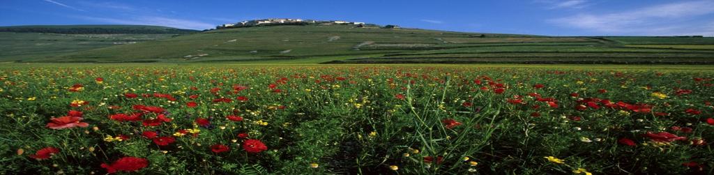 ambientale e la gestione sostenibile dell agroecosistema