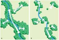vegetazione variabile, 5m. per passaggi di servizio a partire dal ciglio di sponda del fiume) in relazione alle condizioni della golena ed alle attività insediate; - 50 m. (45m.