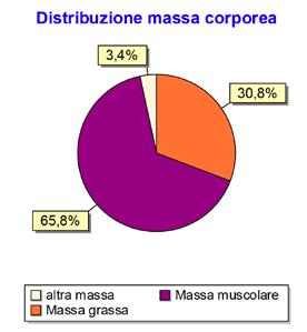 attorno agli organi interni.