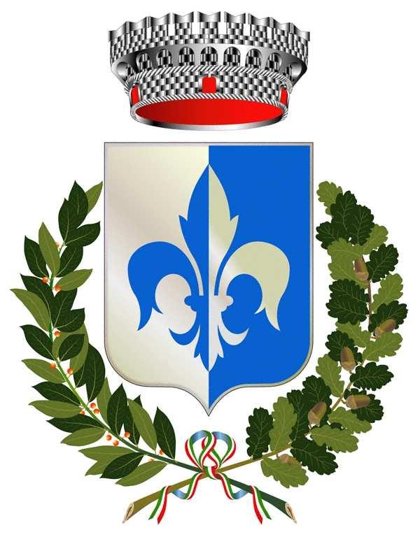 COMUNE DI CASTEL DEL RIO Provincia di Bologna REGOLAMENTO DI ORGANIZZAZIONE E FUNZIONAMENTO DEL
