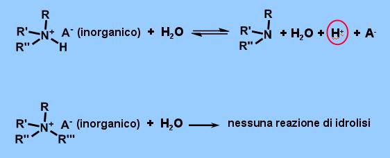 Sali di Ammine e di Ammonio IV con Acidi Inorganici La distinzione fra i sali di