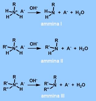 Sali di Ammine e di Ammonio IV con Acidi L alcalinizzazione della soluzione