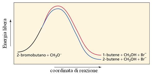 Regioselettività implicata dal meccanismo E2 b b 80%