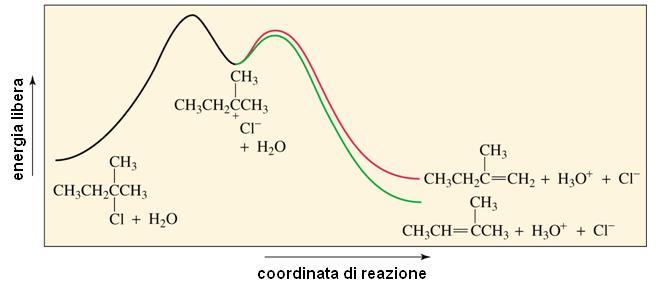3. La reattività della base Come già ricordato non riveste alcuna importanza, perché la base interviene nello stadio veloce della reazione, ed è normalmente rappresentata dal solvente.