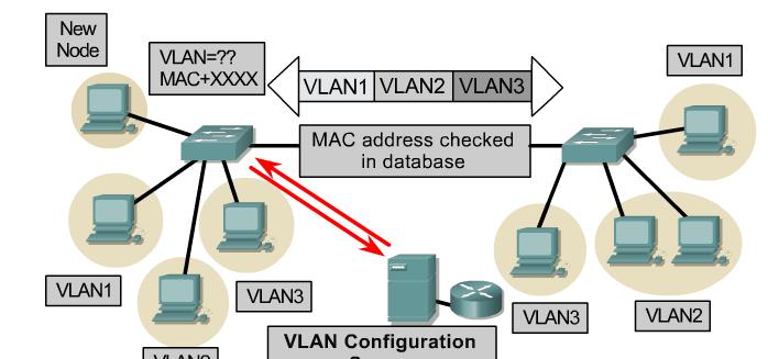 VLAN operation Dynamic membership VLANs are created through network management software Not as common as static VLANs Dynamic VLANs allow for membership