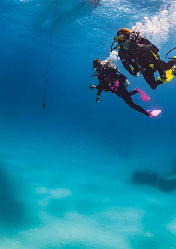 NUOVO La prima volta che hai messo la testa sott acqua ti sei innamorato delle immersioni. Non vorresti lo stesso con il tuo computer subacqueo?