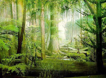 Evoluzione di foglie come adattamento all ambiente subaereo Immagine che illustra una foresta del Carbonifero, basata su testimonianze fossili http://daltonsminima.altervista.