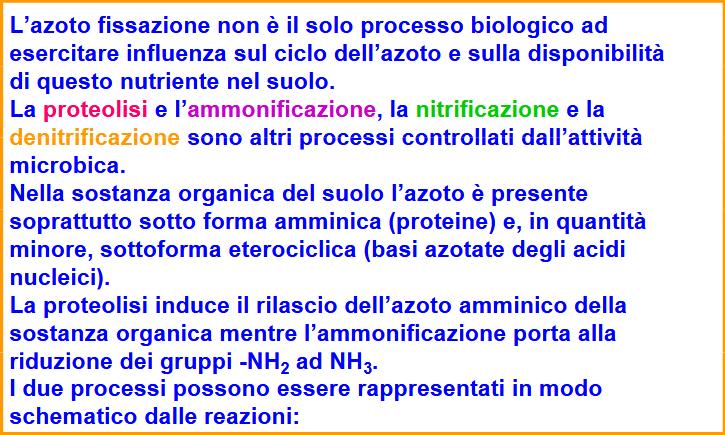 Denitrification Volatilization Amminizzazione e ammonificazione N 2 O NO N 2 9 8 N 2 N 2 O NO NO 2 N Transformations (Italics) NH NH NH 4 + 2 Nitrification 4 Plant Uptake NH + 4 solution NH 4 +