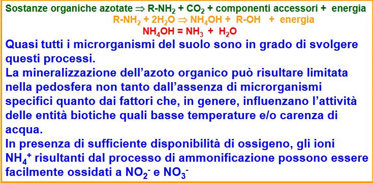 Amminizzazione e ammonificazione L ammonio prodotto può anche essere: - volatilizzato come NH (volatilizzazione) - fissato nell interstrato dei