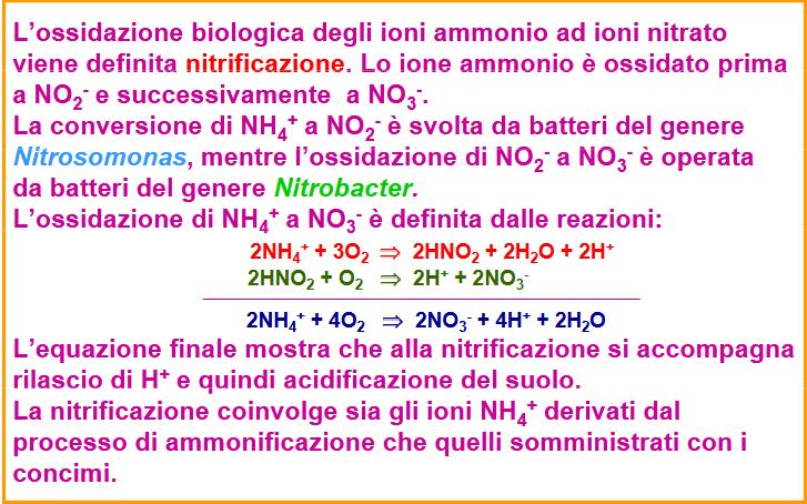 Denitrification Volatilization Nitrificazione N 2 O NO N 2 9 8 N 2 N 2 O NO NO 2 N Transformations (Italics) NH NH NH 4 + 2 Nitrification 4 Plant Uptake NH + 4 solution NH 4 + Ammonification
