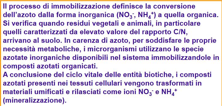 Denitrification Volatilization Immobilizzazione microbica N 2 O NO N 2 9 8 N 2 N 2 O NO NO 2 N Transformations (Italics) NH NH NH 4 + 2 Nitrification 4 Plant